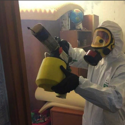 Уничтожение клопов в квартире. Северное Бутово 